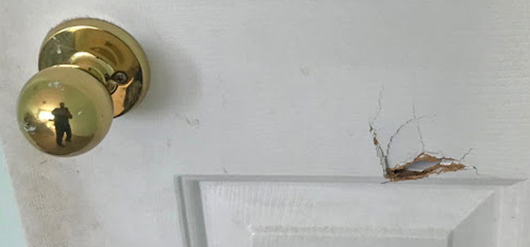 interior door hole repair North Port