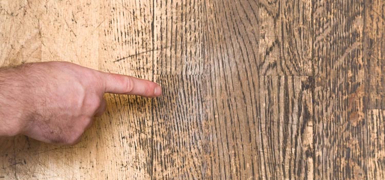 Wood Door Scratch Repair in North Port